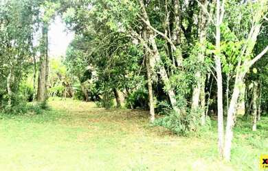 Imagem 5: Terreno para Venda em Nova Petrópolis, Pousada da Neve