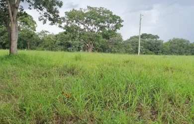 Imagem 2: Vende-se uma excelente fazenda de 226 hectares