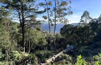 Imagem 12: Terreno - Bairro Vila Dante