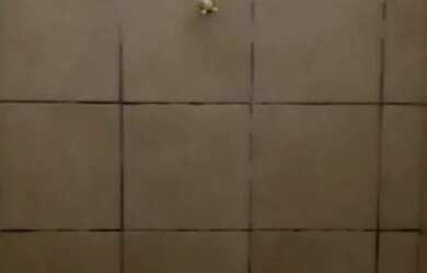 Imagem: A kitnet possui 1 Dormitório, 1 Banheiro, 1 Vaga na garagem