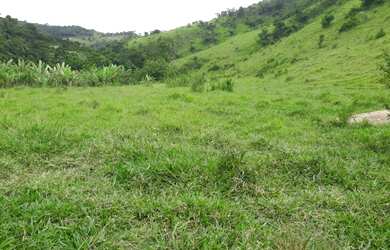 Imagem 2: Vendo ótima fazenda. 