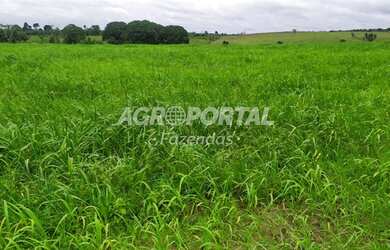 Imagem 10: Fazenda no Pará - São Miguel do Guamá - 260 ha 53 alq