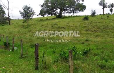 Imagem 7: Fazenda no Pará - São Miguel do Guamá - 260 ha 53 alq