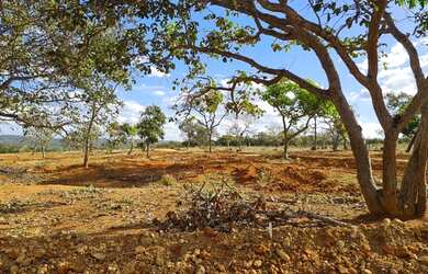 Imagem 2: Lote/Terreno para venda tem 20000 metros quadrados em Zona Rural - Jequitibá...