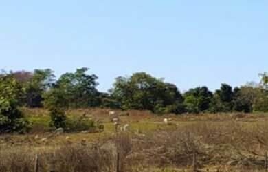 Imagem 10: VENDO FAZENDA DE 10 ALQUEIRES NO MUNICÍPIO DE GOIÁS VELHO