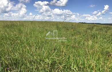 Imagem: A fazenda possui 7000-0m² de Área e está localizado em Diamantino