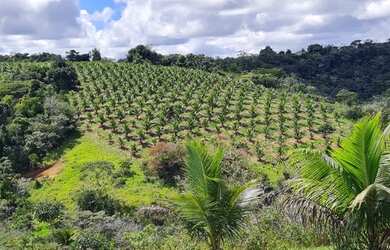 Imagem: A fazenda possui 9.000m² de Área e está localizado em Parque