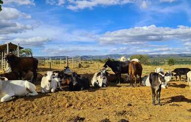 Imagem 1: Lote/Terreno para venda tem 20000 metros quadrados em Zona Rural - Jequitibá...