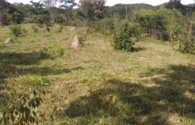 Imagem 8: VENDO FAZENDA DE 10 ALQUEIRES NO MUNICÍPIO DE GOIÁS VELHO