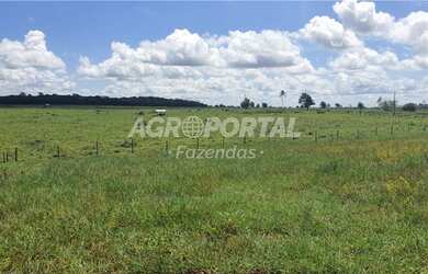 Imagem: A fazenda possui 2890000m² de Área e está localizado em RO
