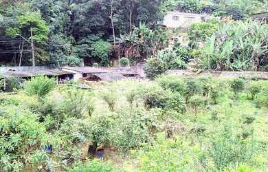 Imagem 1: Chácara para Venda - Horto Florestal