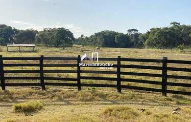 Imagem: A fazenda possui 200m² de Área e está localizado em Nossa