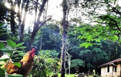 Imagem 14: Chácara Sítio. 30000m² de Área