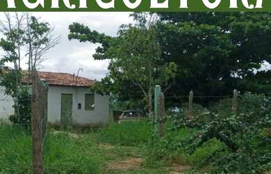 Imagem: A chácara possui 9.000m² de Área, Churrasqueira e está