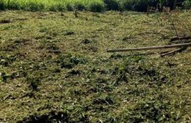 Imagem 6: TERRENO NO ELVAS 2000m2. 2.000m² de Área