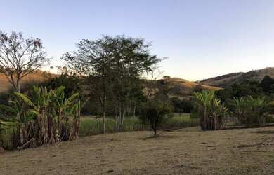Imagem 9: FAZENDINHA CENTENÁRIA RICA EM ÁGUA À VENDA EM PIRACEMA/MG