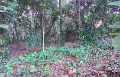 Imagem 6: TERRENO RESIDENCIAL em JUNDIAÍ - SP, JARDIM MARAJOARA