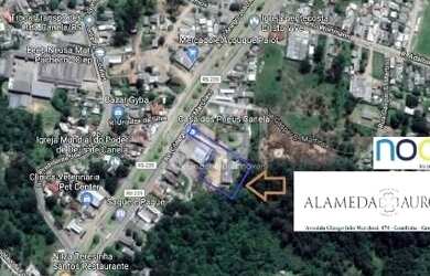 Imagem 2: Canela - Apartamento Padrão - Canelinha Saiqui