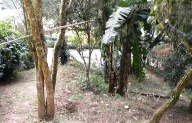 Imagem: O terreno possui 530m² de Área e está localizado em Granja