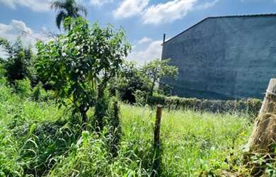 Imagem 5: Lindo Terreno em Barueri bairro Ribeiro de lima 136 metros na melhor rua do bairro