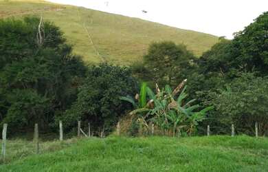 Imagem 8: FAZENDA REGIAO SERRANA CANTAGALO FORMADA E PERTO DA CIDADE