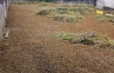 Imagem 3: Terreno Jardim Shangrilá