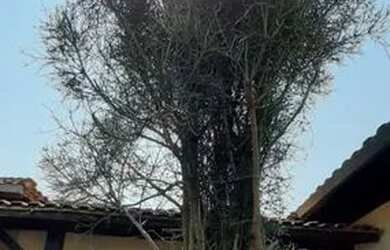 Imagem 2: Campo Limpo Paulista - Casa Padrão - Vila Tavares