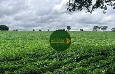 Imagem 2: Fazenda à venda, 16940000 m² por R$ 3.850.000 - Zona Rural - Uruaçu/GO