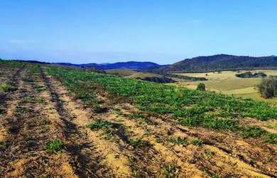 Imagem 4: Lote/Terreno para venda com 500 metros quadrados em Recreio Estoril -...