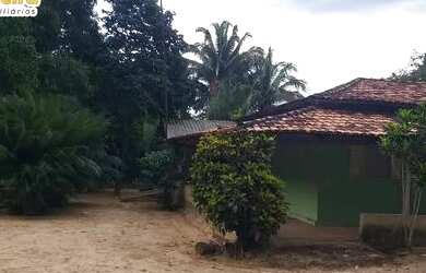 Imagem 11: FAZENDA À VENDA EM GOIATINS - TO - 329,12 HECTARES PECUÁRIA