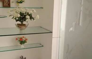 Imagem 2: Mata altantica II aluguel