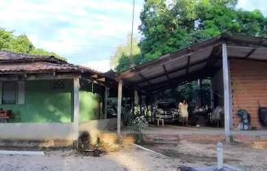 Imagem 13: FAZENDA À VENDA EM GOIATINS - TO - 329,12 HECTARES PECUÁRIA