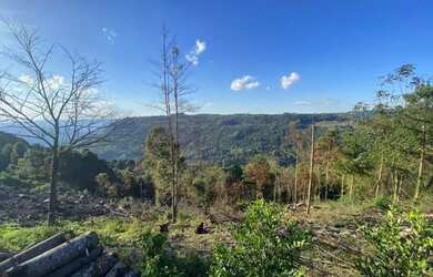 Imagem 11: Área Rural - Bairro Carazal