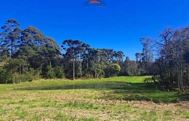 Imagem 7: Terreno Arcoverde Carlos Barbosa