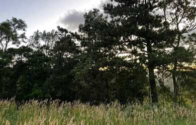 Imagem 7: Terreno - Bairro Vila Dante