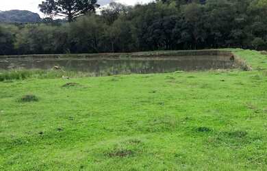 Imagem 8: Vendo chácara de 3,6 hectares na localidade da boca da serra