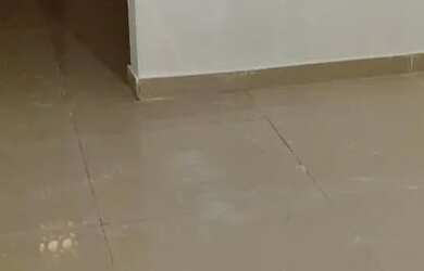 Imagem 2: Alugo Casa com 1 dormitório