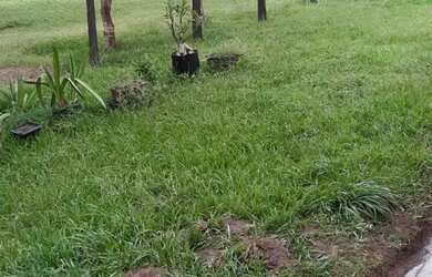 Imagem: A fazenda está localizado em Arinos, MG à venda por R$2.000.000