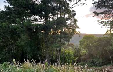 Imagem 4: Terreno - Bairro Vila Dante