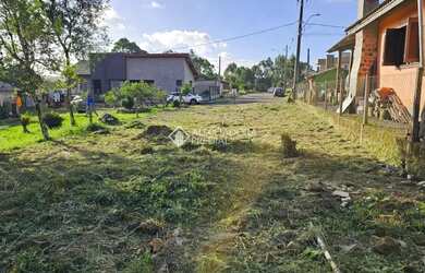 Imagem 3: Terreno Plano à Venda em Canela Serra Gaúcha