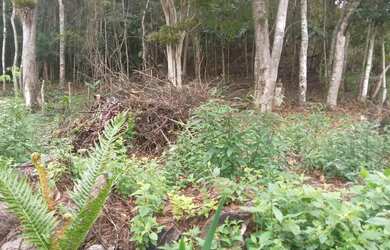 Imagem 4: Oportunidade 3 mil mts 57 mil reais