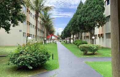 Imagem 15: Apartamento em Rua Delaine Negro - Alto da Colina - Londrina/PR