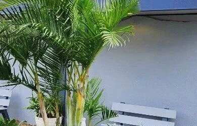 Imagem: A kitnet possui 1 Banheiro, 30m² de Área e está localizado