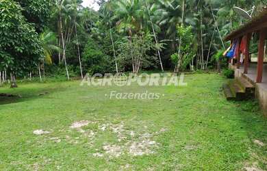 Imagem 4: Fazenda no Pará - São Miguel do Guamá - 260 ha 53 alq