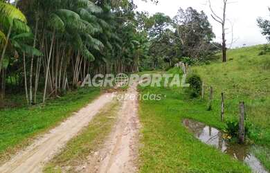 Imagem 8: Fazenda no Pará - São Miguel do Guamá - 260 ha 53 alq