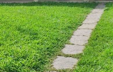 Imagem: A casa possui 4 Dormitórios, 1 Banheiro, 120m² de Área e