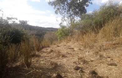 Imagem 6: Fazenda em Areal. 557m² de Área