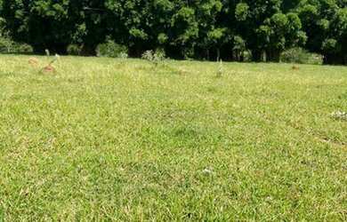 Imagem 3: 32R-Lote/Terreno para venda possui 500 metros quadrados em Centro - Atibaia...