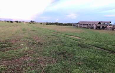 Imagem 5: Fazenda no Amajari