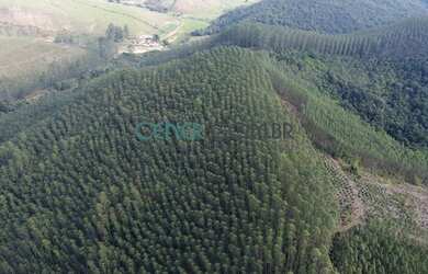 Imagem 8: EXTRAORDINÁRIA FAZENDA DE 422 HA COM ÓTIMA ESTRUTURA E EUCALIPTO POR...